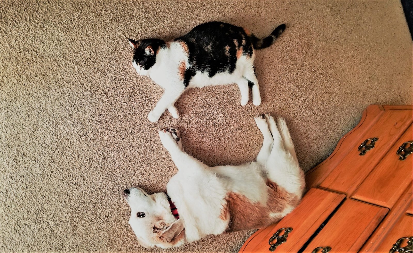 Find What <span>You</span> Are Looking For!